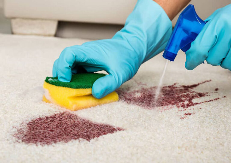 Blood Stain Removal Guide  Blood stain removal, Stain removal